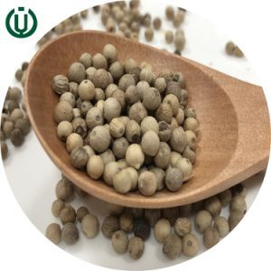 Seasoning Fresh Crop Dried Spices White Pepper Seed Make Food Delicious
