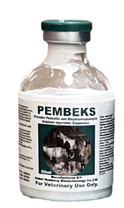 Veterinary Medicine Penstrepto 20/20 Inejction