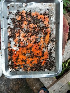 Animal Drugs Kill Fly Product Wp 1%/10% Azamethiphos