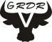 Company icon