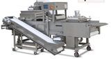 Japanese Fresh Breading Machine (XXJ400)