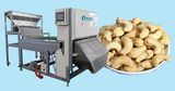 Engineer Available to Service Machinery Overseas for Cashew Color Sorter