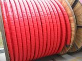 XLPE/PVC Insulation Power Cable (YJV, YJLV, NHYJV)