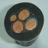 Rubber Cable,Mining Cable (YCW(Ho7RN-F))