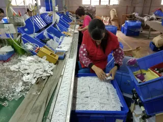 Foshan Shunde District Dong Yusheng Yang Technology Co., Ltd. Mosquito Killer Lamp