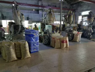 Foshan Shunde District Dong Yusheng Yang Technology Co., Ltd. Bug Zapper