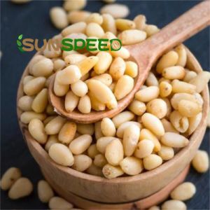 Best Prices Natural Bulk Healthy Snacks Pine Nuts