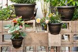 Hot Sale Vintage Colored Flower Plant Plastic Flower Pot
