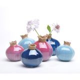 Living Room Tabletop Modern Ceramic Vase for Small Novelty Flower