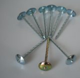 China Wholesale Gal. Roofing Nails/Roofing Screw