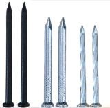 Steel Nails/Concrete Nails/China Wholesale Hardware Wire Nail