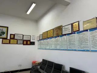 ct9cj6hgv6tc73b92ak0.webp