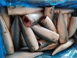 2024 Fresh Frozen Mackerel Hg Hgt for Canning Factory