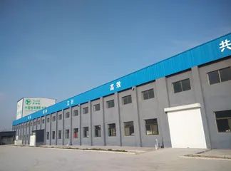 ct9cm01gv6tc73b93vgg.webp