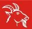 Company icon