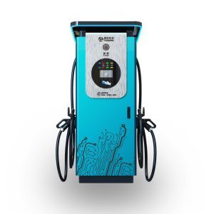 200kw EV Charging Station Electric Car Gbt Charging Port DC CCS2 Smart EV Charger Station at Competitive Price Famous Brand DC Car Charger