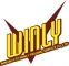 Company icon