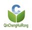 Company icon