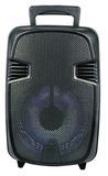 12 Inch Speaker Promotion