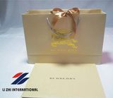 Gold Stamping Craft Paper Bag for Gifts and Promotion (SB-013)
