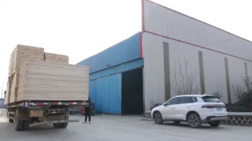 Heze Shengmao Trading Co., Ltd. Edge Glued Panels