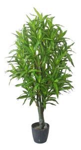 China Supplier Artificial Bonsai Dracaena Reflexa