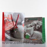 Machine-Made Kraft Paper Gift Bag