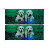 3D Lenticular Sticker