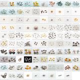 Finding and Components 1
