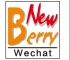 Company icon