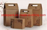 Kraft Envelope Bag/Kraft Paper Bag Customization