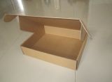 Kraft Paper Corrugated Carton, Carton Packaging