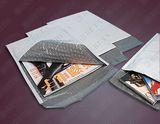 Poly Bubble Mailer