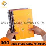 Various Kinds of Spiral Notebook Supply Office and School