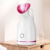 Beauty Equipment Facial Steamer Home Use Portable Cheap Electric Nano Face Mist Spray Nose Steamer
