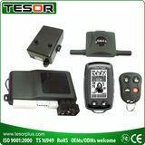 2-Way LCD Display Remote Alarm & Starter (2690RSDP-296RS)