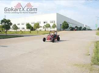 Wuyi Wiztem Motion Apparatus Company Limited UTVs