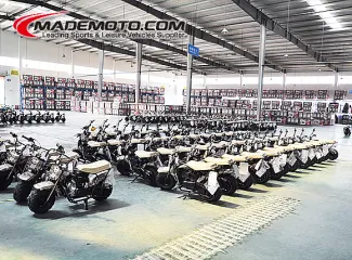 Wuyi Wiztem Motion Apparatus Company Limited Electric Scooters