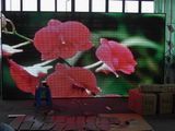 LED Display Screen (P7.62)