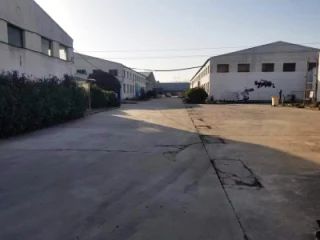 ct9fn0hgv6tc73bas950.webp