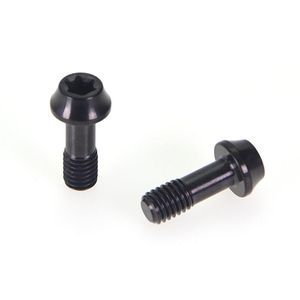 Non Standard Customized Plum Blossom Groove Titanium Alloy Bolts with Black PVD Treatment for Surface Wear and Corrosion Resistance