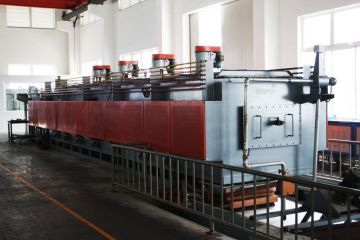 ct9gc98p7jrc73e255hg.jpg