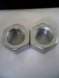 Hex Nut (Iso 4032)
