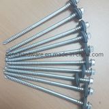 Hex-Washer-Head-Double-Threaded-Self-Drilling-Screw