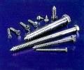 Wood Screw