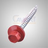 Hex Washer Head Self Drilling Screw with Head Painted