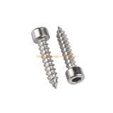 Made in China High Quality Hardware Wood Screw