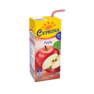 330ml Primsa Carton Packaging Juice Box Packaging Customer Printed Aseptic Brick Paper Box