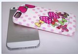 Phone Case for iPhone 5
