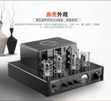 Vacuum Tube Amplifier 25wx2